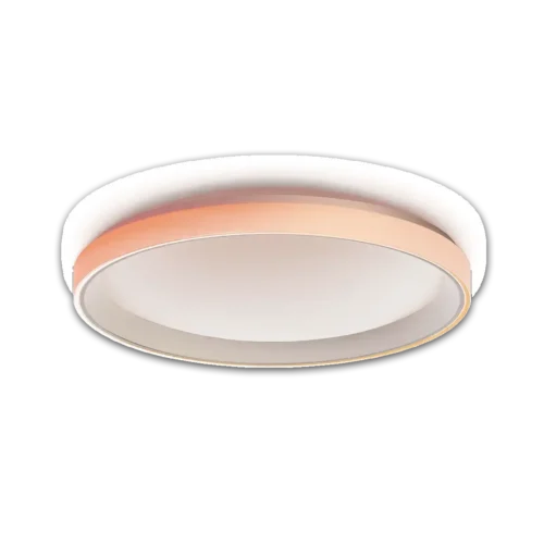 Ceiling Light Arvi T1M